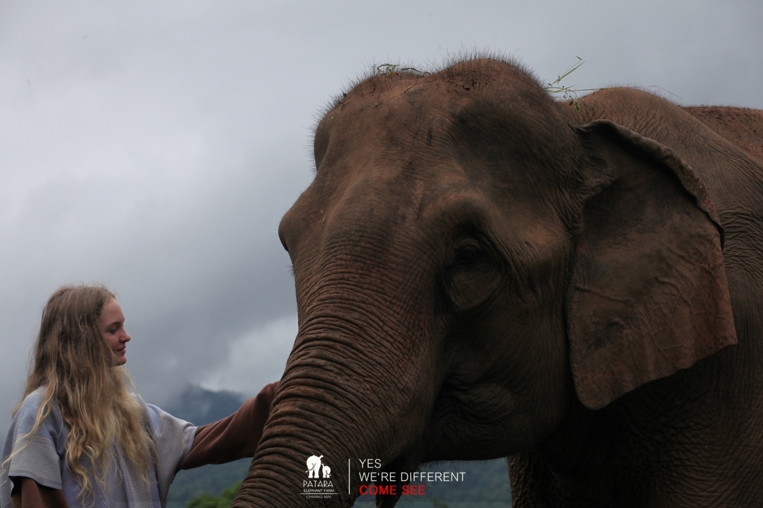 Elephant Caregiver for a day