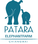 Patara Elephant Farm